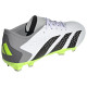 Adidas Predator Accuracy.3